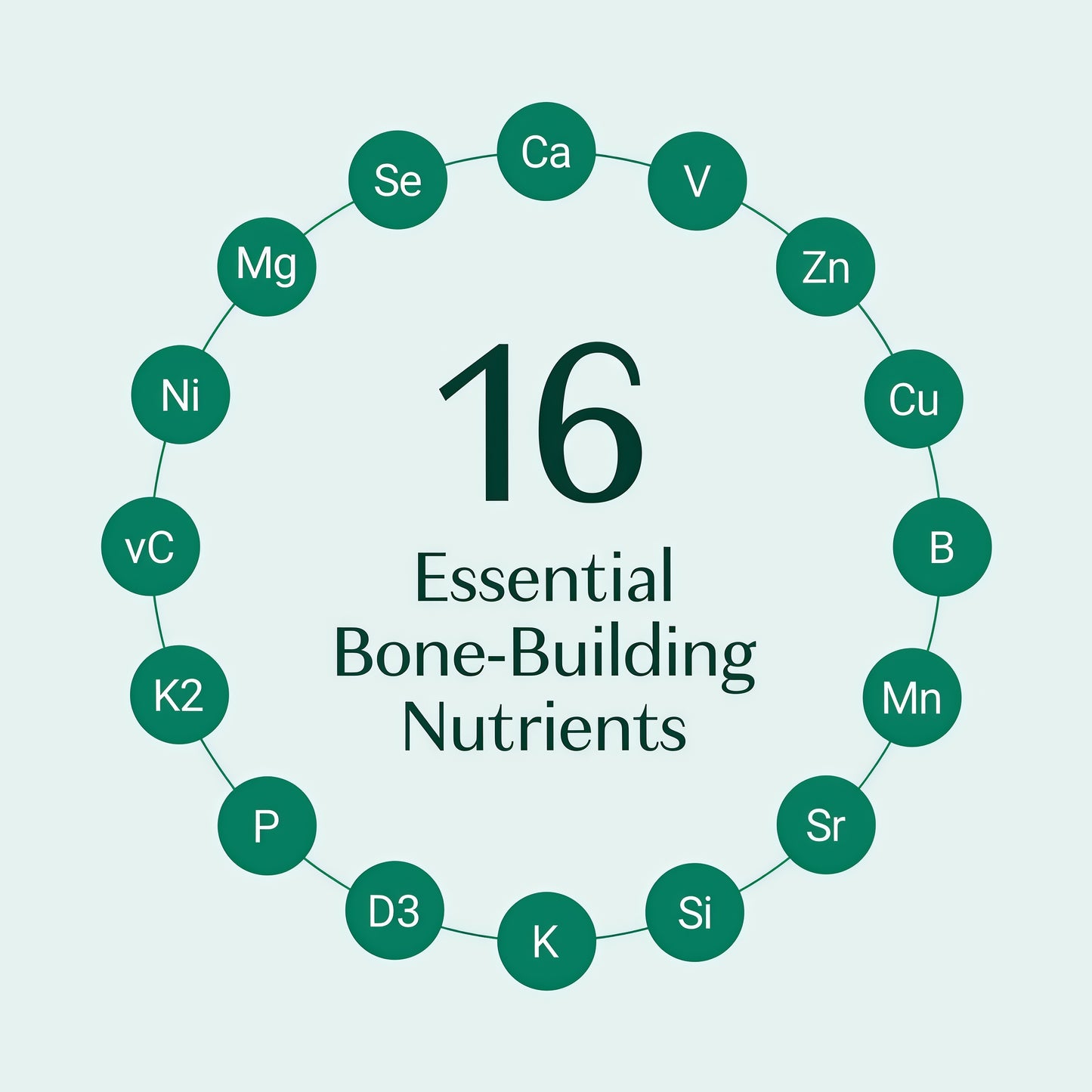 AlgaeCal - Bone Builder Pack for Bone Density Increase Vitamins
