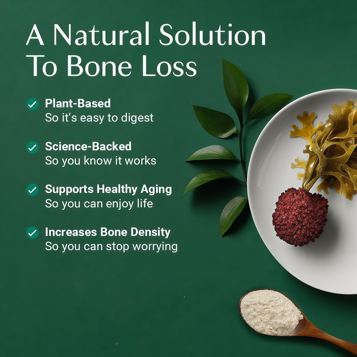 ALGAECAL Organic Red Algae Calcium Supplement for Bone Density Vitamin 120 Caps