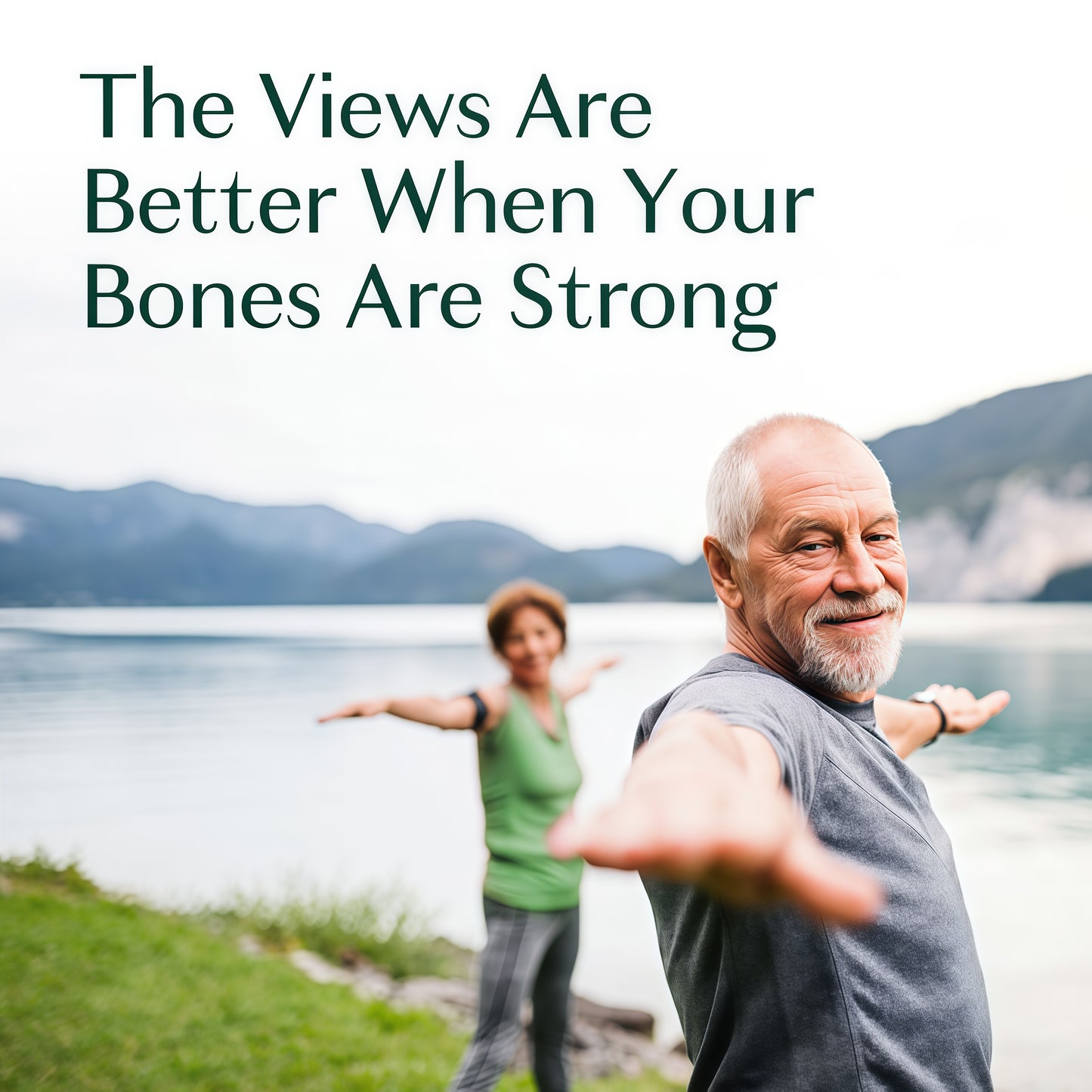 ALGAECAL Organic Red Algae Calcium Supplement for Bone Density Vitamin 120 Caps